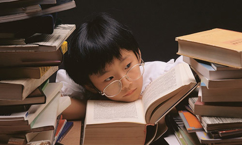 Phận chia nội dung ôn thi