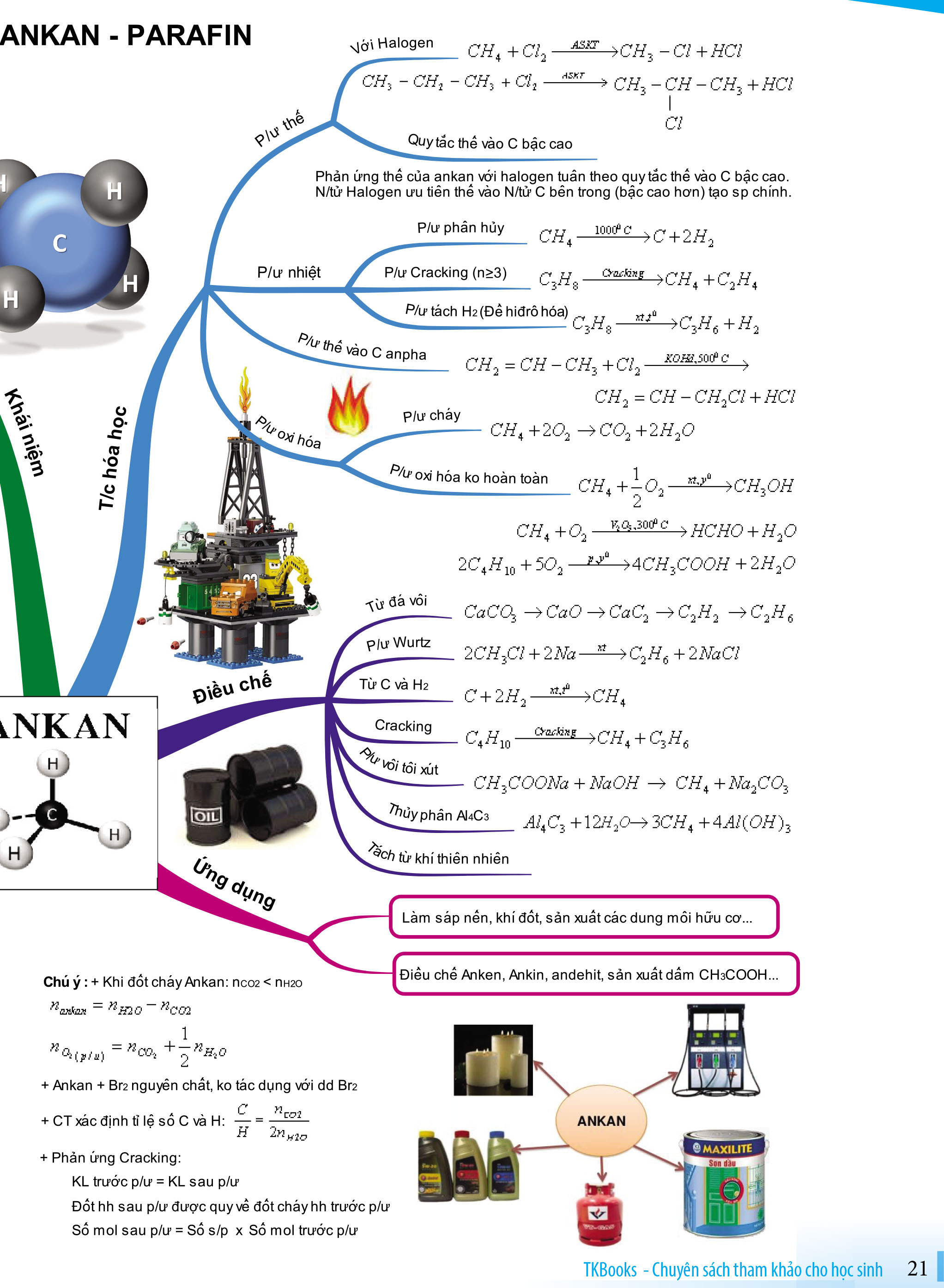 dot-pha-minmap-mon-hoa-huu-co-bang-hinh-anh-1