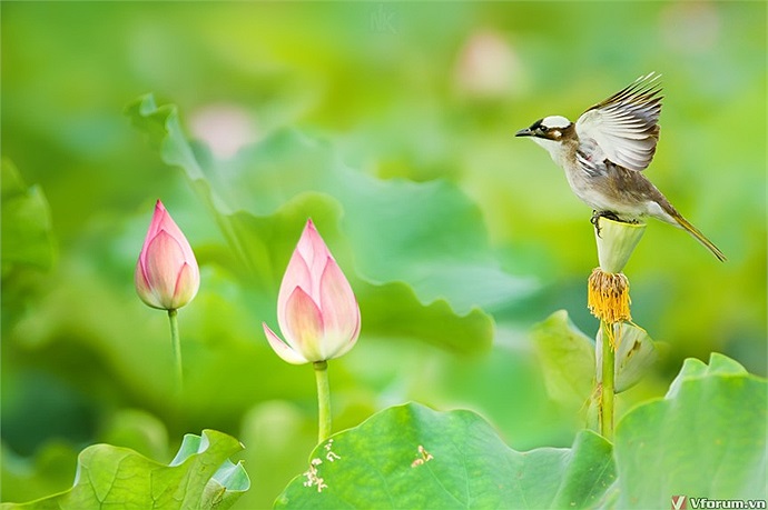Ước muốn được tận hưởng tuổi trẻ